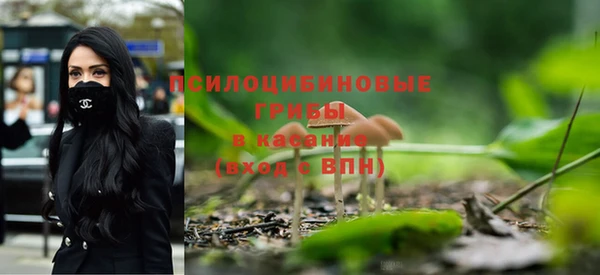 твердый Магас