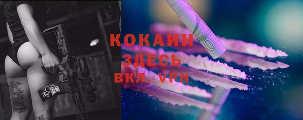 твердый Магас